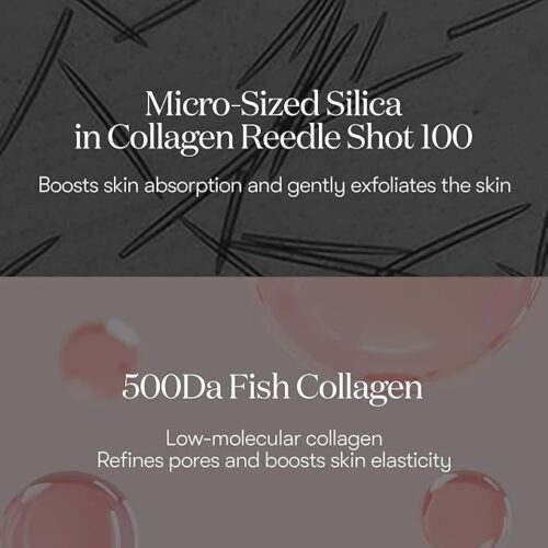 Collagen Reedle Shot 100 2 Step Hydrogel Mask