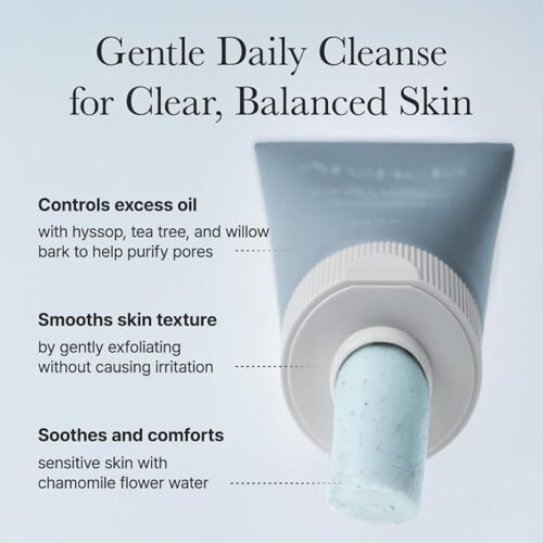Hyssop Sebum Control Rice Cake Cleanser