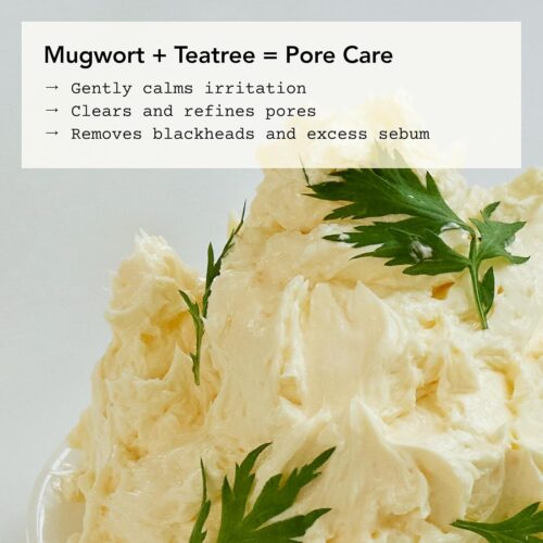 Mugtree Vegan Pack Cleanser